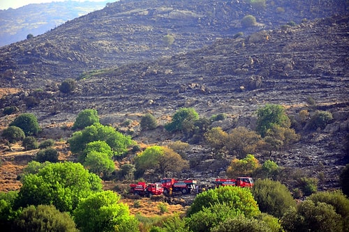 Bodrum'daki Yangında 250 Hektarlık Alan Kül Oldu
