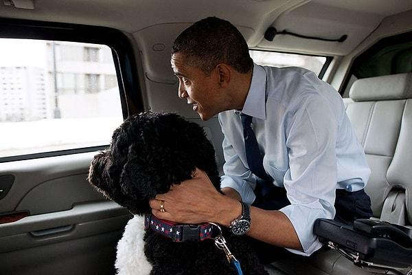 12. Obama ailesinin köpeği Bo da bu başkanlık sürecinde hep ailenin yanındaydı :)
