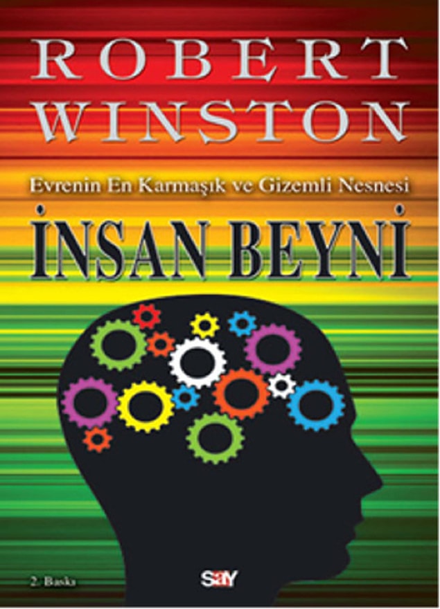 3. İnsan Beyni - Evrenin En Karmaşık ve Gizemli Nesnesi