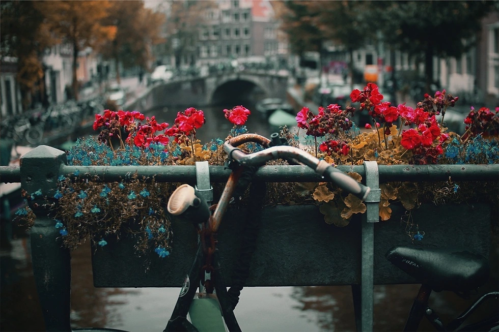 Hollanda