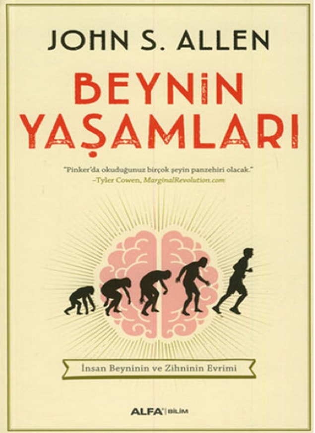 8. Beynin Yaşamları