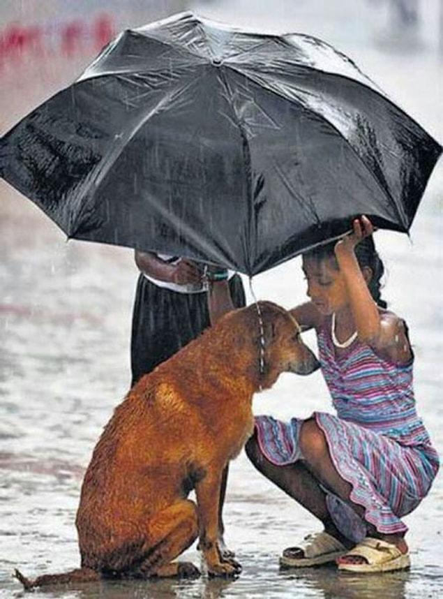 5. The children who helped this obviously cold dog in the rain!