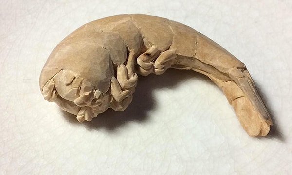 8. Креветку чуть-чуть не доварили 😁