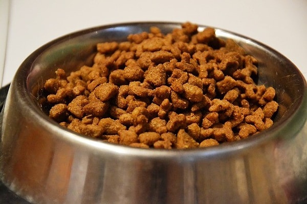 17. Дегустатор кормов для животных