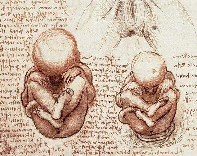 Leonardo Da Vinci Nin Zamaninin Cok Otesinde Bir Insan Oldugunun