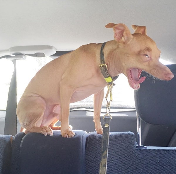 4. И не смейте говорить, что я такая, потому что у меня месячные!!!!!