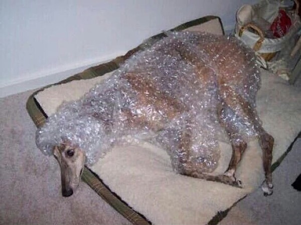 7. И каждый раз, как в первый.