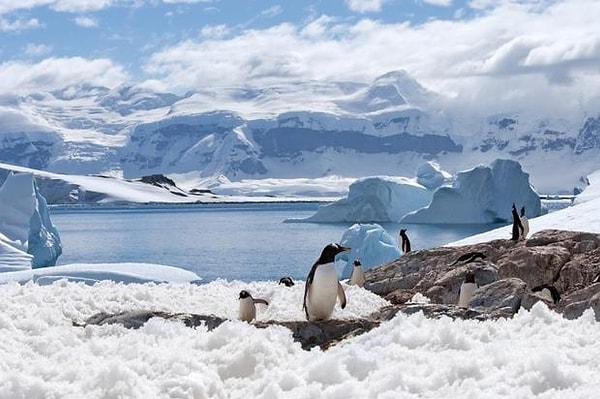 20. Antarktika kıtasının %1'lik bir kısmında buz bulunmamaktadır.