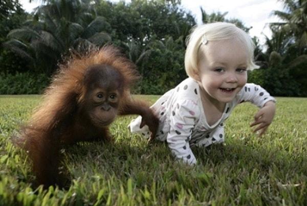 3. Öyleyse, maymunlar neden insanlara evrimleşmedi?