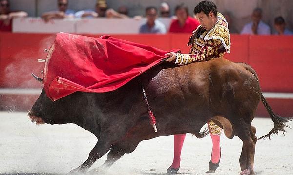10. Pikadorun bu aşağılık görevi gerçekleştirmesinin ardından sahneye asistan matadorlar giriş yapar.