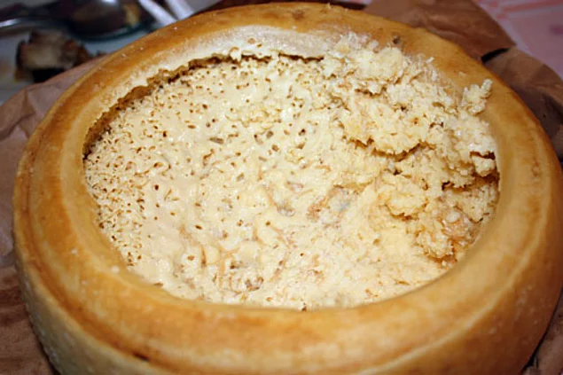 Larva dolu bir peynir: Casu Marzu