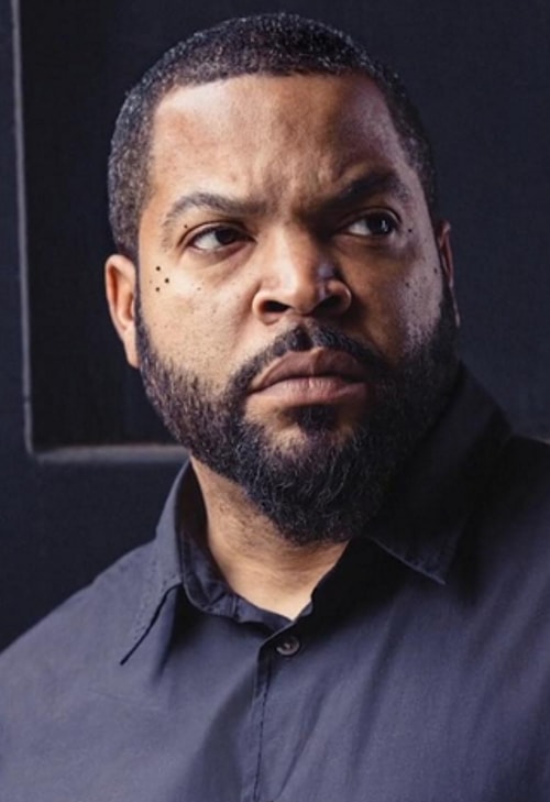 Artık Çocuk Değiller (1991) Boyz n the Hood - Ice Cube