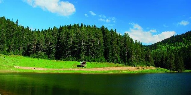 Kesinlikle görülmeye değer yerlerden olan Yenice Ormanları'nı gezi planınıza ekleyerek yeşillikler içinde keyifli zaman geçirebilirsiniz.