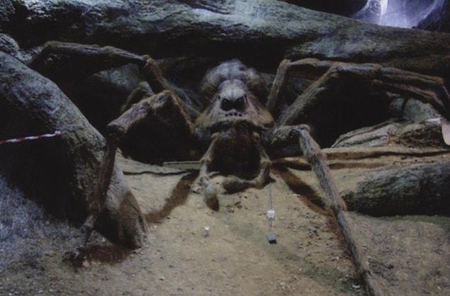 11. You wouldn't remember Julian Glover from the world of wizards, because he was the voice of the spider, Aragog.