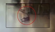 Atatürk Havalimanı'nda Teröristlerden Birini Vuran O Polis: 'Çok Daha Fazla Kişiyi Öldürebilirdi'