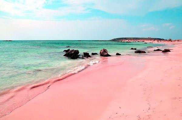 4. Pink Sand Beaches