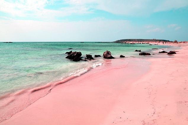 4. Pink Sand Beaches