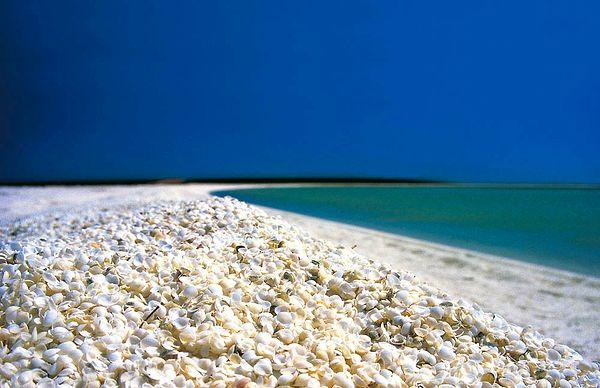7. Seashell Beaches