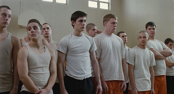 5. Загон для собак