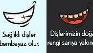 Bi' An Önce Bildiğimizi Unutup Gerçeğini Öğrenmemiz Gereken Vücudumuzla İlgili 11 Bilgi