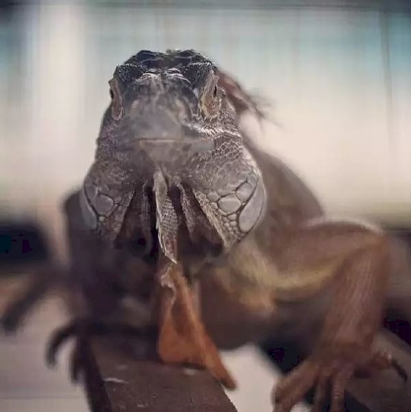 16. Зацените новый фильтр, который я только что использовал