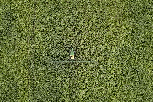 Абреуландия, Токантинс, Бразилия