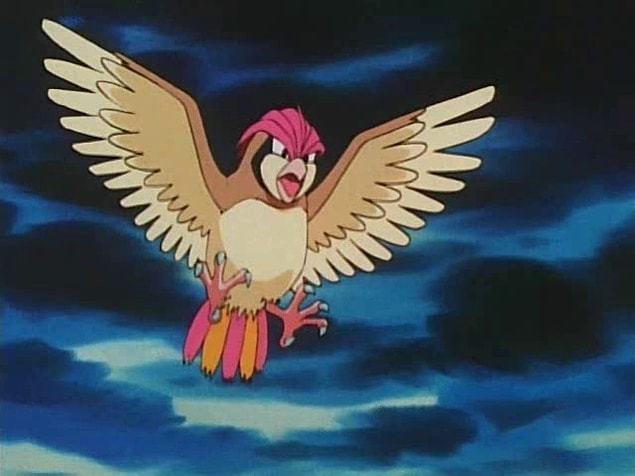 Pidgeotto!
