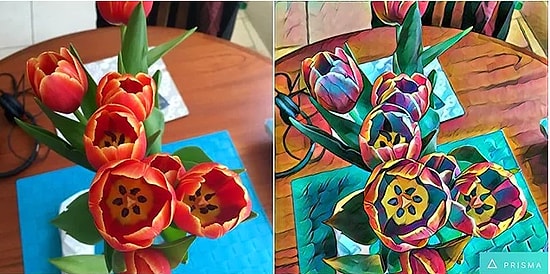 Превратите ваши снимки в шедевры искусства с помощью приложения Призма