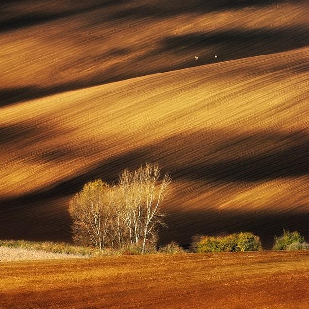 11. Moravian fields, Czech Republic