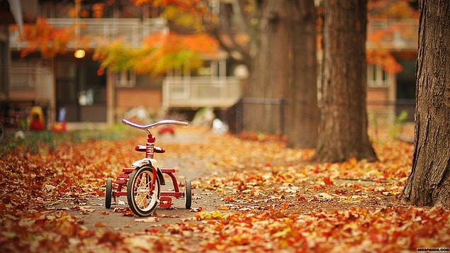 1. Riding a bike is a recall to your inner child.