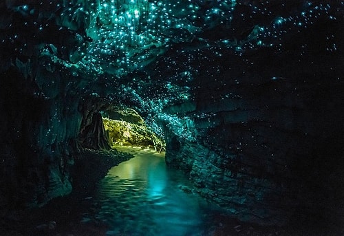 Celebi - Glowworms Mağarası