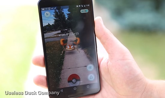 Tek Poke Topu ile Pokemon Yakalamanın En Gerçekçi ve Pahalı Yolu