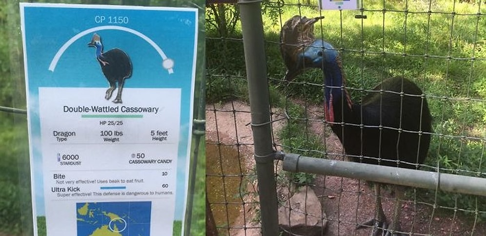 Зоопарк решил привлечь внимание к забытым животным с помощью Pokemon GO