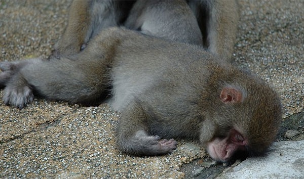 14. Проспать все выходные - отличный способ потратить время впустую