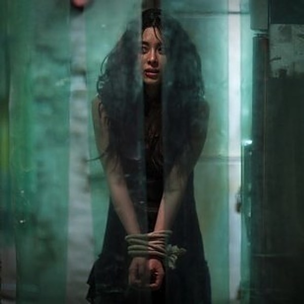 8. Я видел дьявола (2010)