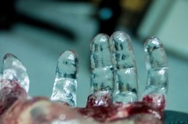 13. Таксидермия (2006)