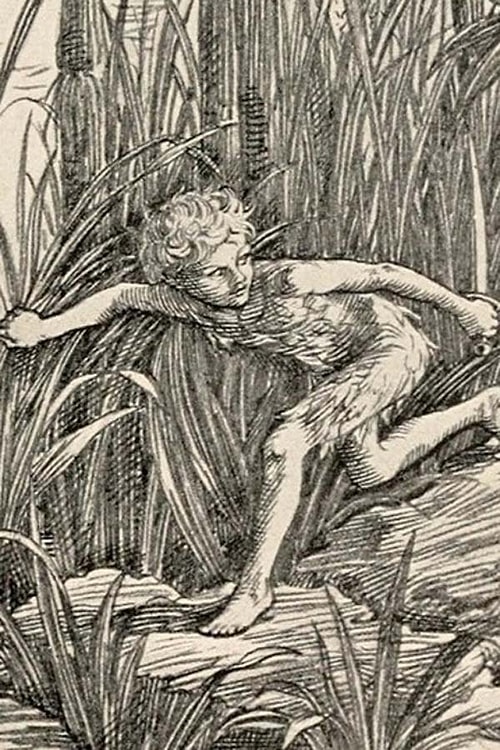 1902 ve 1953'teki çizimleriyle Peter Pan