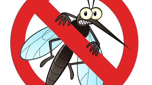 19. Sivrisinek kovan losyonlar ve spreyler ise 2 yıla kadar kullanılabilir, sonrasında etkisiz olurlar.