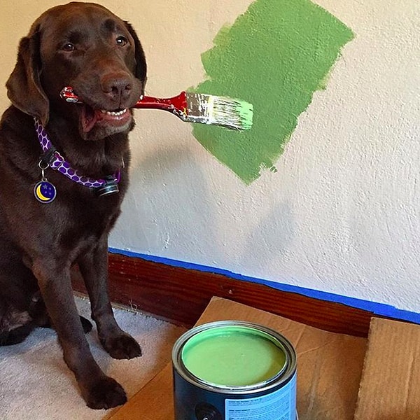 12. Еще один помощник