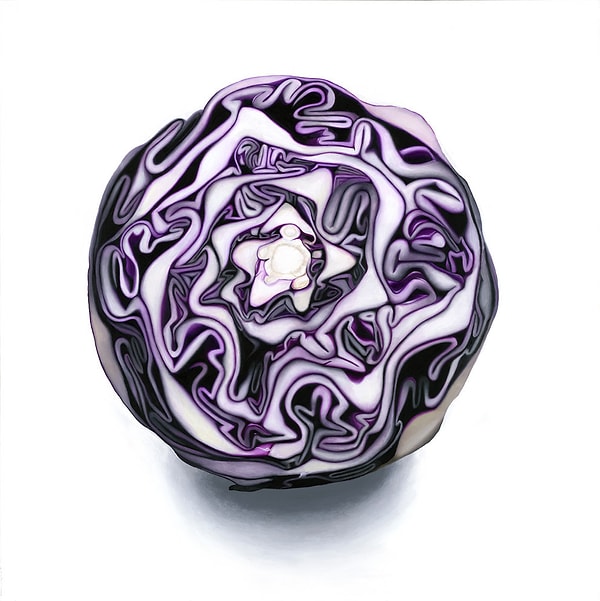 11. Эрин Ротштейн сначала фотографирует объект, а потом уже приступает к его рисованию.