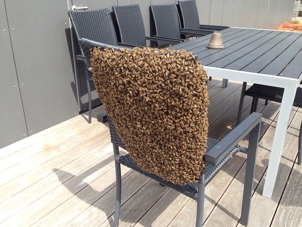 12. Присаживайтесь, пожалуйста.