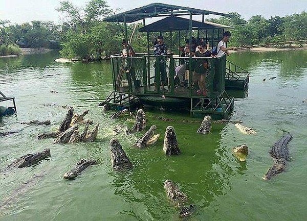 6. Птенчики.