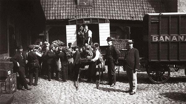 32. Norveç'e gelen ilk muzlar | 1905