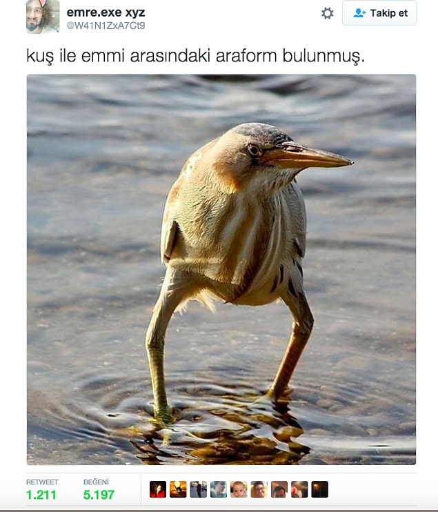 2.