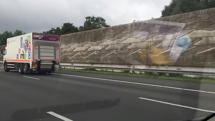 Otoyolda Araçlar ile Yarışan Manyak Güvercin