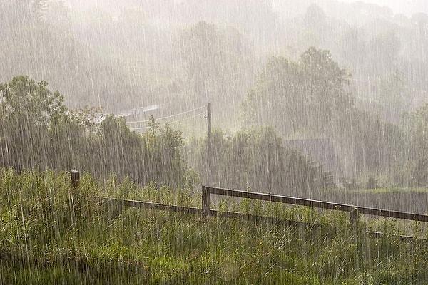 3. Bir anda başlayan yağmur ardından duyulan o toprak kokusu hakkında ne düşünüyorsun?