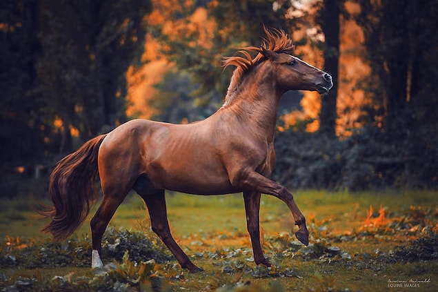 25. Sanatçının birbirinden güzel diğer fotoğrafları ile siz sizi baş başa bırakıyoruz...