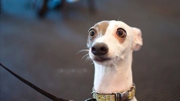 14. Если он оказался больше, чем ты расчитывала