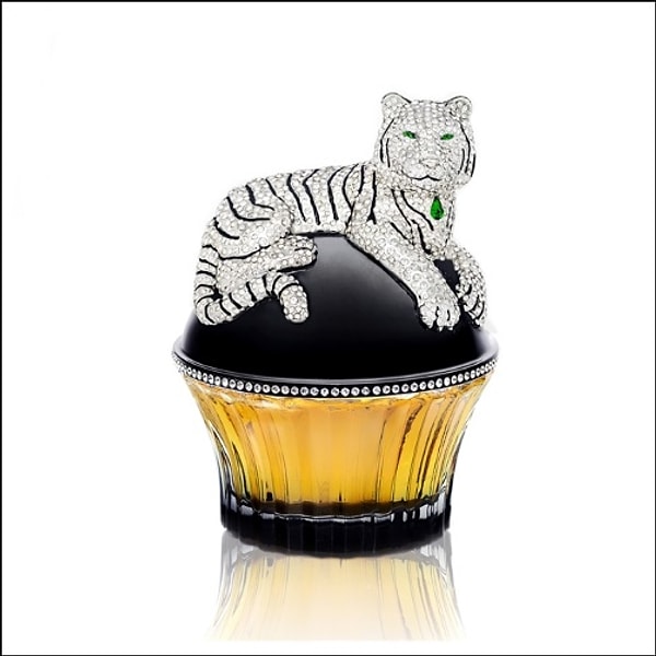 Поздравляем! 👏👏