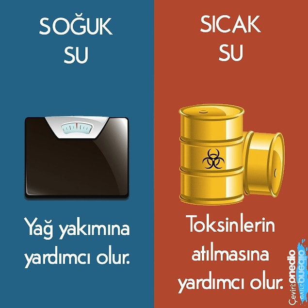7.